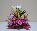 2011050410030001
